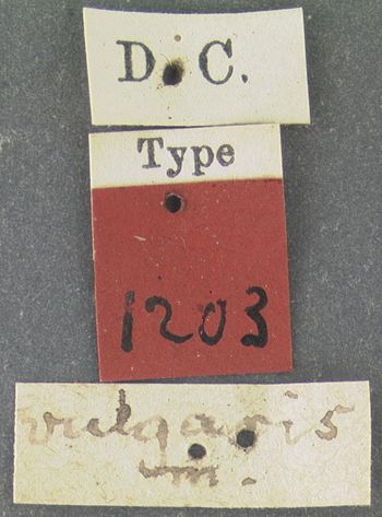 Media type: image;   Entomology 1203 Aspect: labels